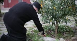 Ιερός Ναός Αγίου Γεωργίου Κορυδαλλού