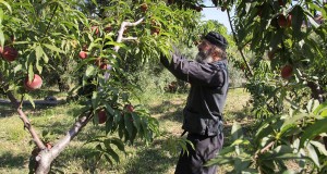 Ιερός Ναός Αγίου Γεωργίου Κορυδαλλού