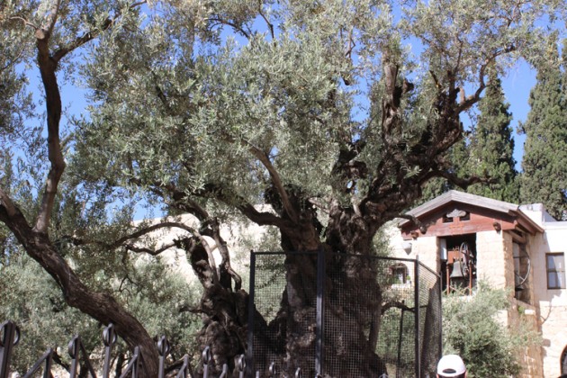 Ιερός Ναός Αγίου Γεωργίου Κορυδαλλού